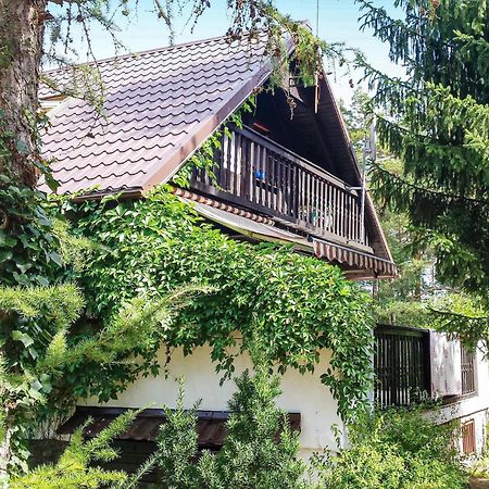 3 Bedroom Stunning Home In Dziemiany Экстерьер фото